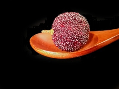 静物拍摄-杨梅-酸酸甜甜-水果-食物 图片素材