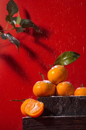 水果拍摄-创意水果拍摄-美食摄影-橘子-色彩 图片素材