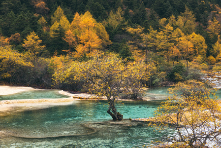 旅行-色彩-风光-川西-格聂 图片素材