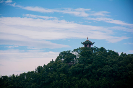 阆中-锦屏山-树-树木-树林 图片素材