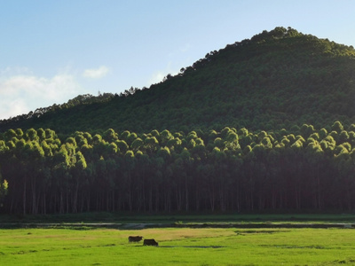 阳江市-场景-色彩-自然-风景 图片素材