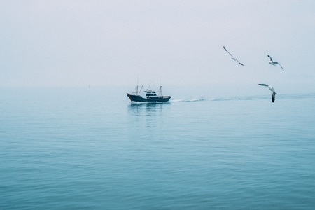 海-蓝-船-游艇-风景 图片素材