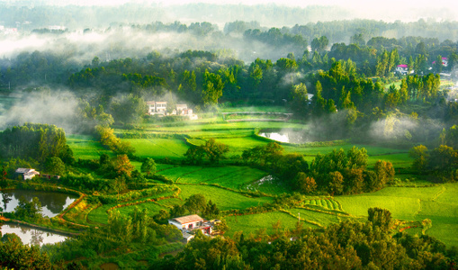 自然-春天-河南信阳风光-田园-风景 图片素材