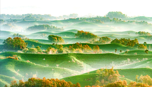 河南信阳风光-自然风光-风光-自然-风景 图片素材
