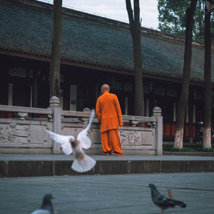 玲珑世界-七工匠-成都-昭觉寺-纪实 图片素材