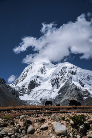 雪山-定日县-日喀则-风景-沿途风光 图片素材