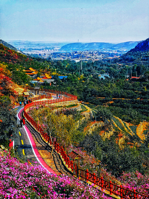 风光-风光-风景-道路-栏杆 图片素材