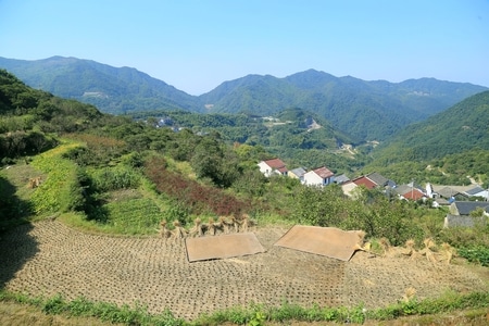 艺术底纹-在路上-纪实-旅拍-农村 图片素材