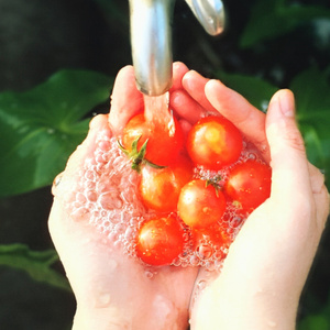 水果-生活-summer-水果-小番茄 图片素材