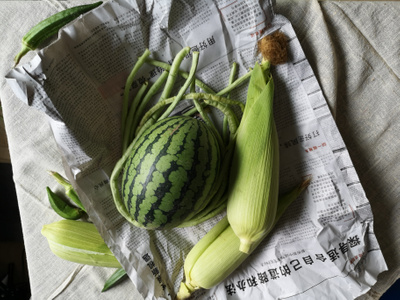 我的七月-静物-暗调-西瓜-花絮 图片素材
