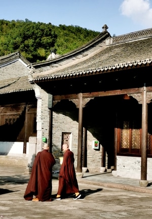 寺庙-僧人-形态-禅宗-佛系 图片素材