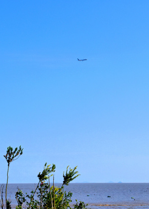 城市-大海-蓝天-飞机-抓拍 图片素材