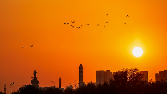 我要上封面-盛夏-夕阳-天津市-飞鸟 图片素材