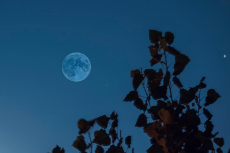 蓝调世界-圆月-盛夏-夜色-天津市 图片素材