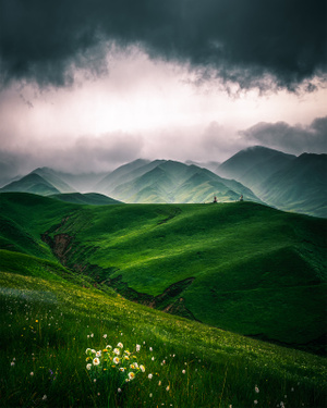 大山-野花-自然-风景-风光 图片素材