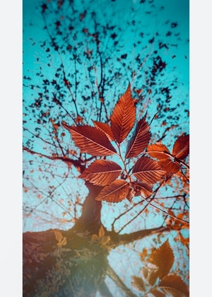 手机摄影-色彩的相貌-练习-你精彩-我骄傲 图片素材