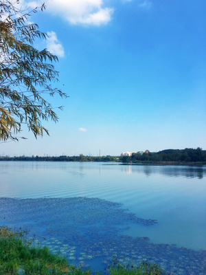 看你的城市-武汉市-东湖-金秋-湖光山色 图片素材