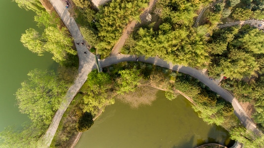 春天-航拍-东湖-道路-湖 图片素材