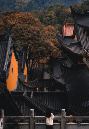 法喜寺-寺庙-法喜寺-寺庙-建筑 图片素材