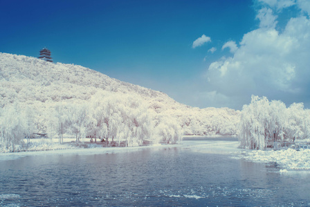 蓝-湖州-季节-红外摄影-haida滤镜签约 图片素材