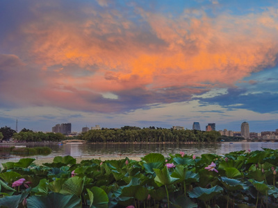 夕阳-日落-天空-树-小桥 图片素材