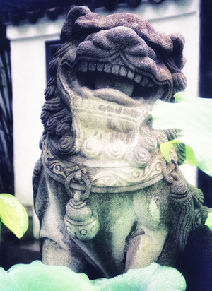 七工匠-石狮子-守卫者-石狮子-石雕 图片素材