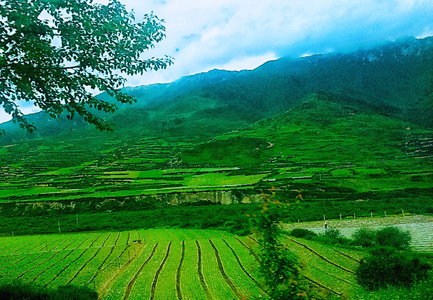 玲珑世界-村庄-稻田-风景-田园 图片素材