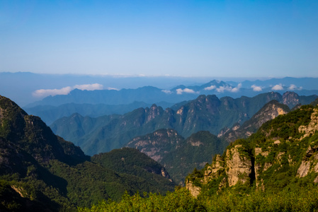 小而美-植物系列-我要上封面-haida滤镜签约-风景 图片素材