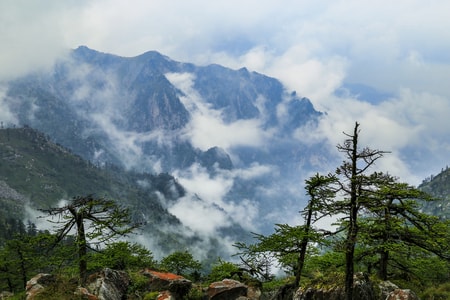 我要上封面-风景-云雾缭绕-云海翻腾-云海 图片素材
