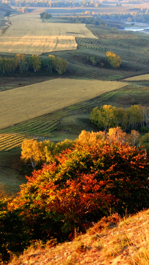 看你的城市-秋季-旅拍-清晨-色彩 图片素材