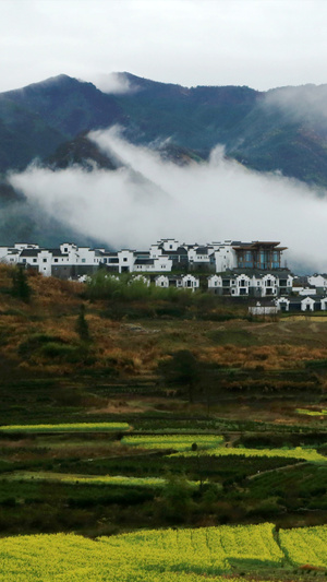 看你的城市-玲珑世界-旅拍-春季-油菜花 图片素材