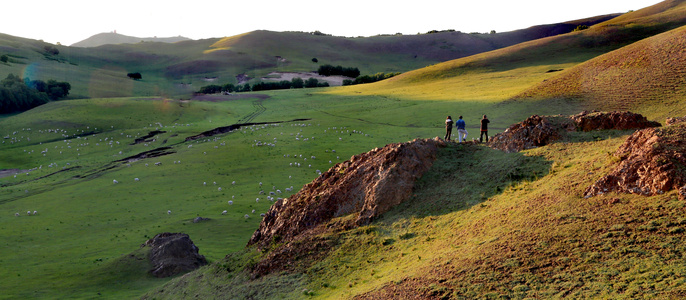 山丘-羊群-拍客-草甸-黄昏 图片素材