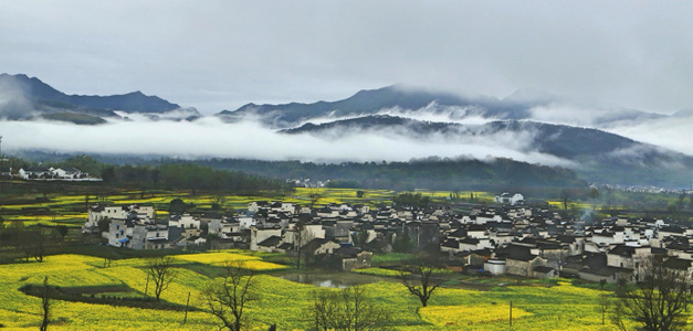 七工匠-旅拍-婺源-油菜花-群山 图片素材
