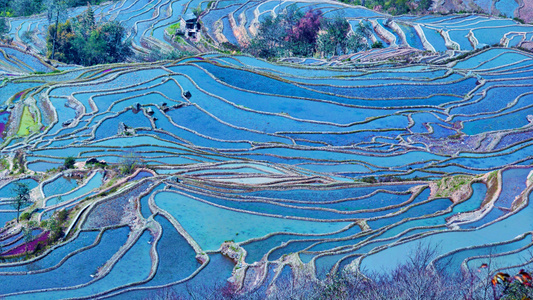 旅行-风光-梯田-色彩-梯田 图片素材