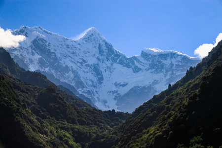 西藏-林芝-南迦巴瓦峰-雅鲁藏布江大峡谷-雪山 图片素材