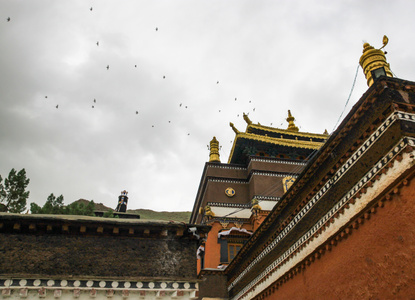 扎什伦布寺-西藏-日喀则-寺庙-藏族 图片素材