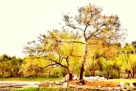 秋色-公园-圆明园-树木-风景 图片素材