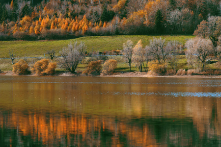 瑞士-lac-de-bret-洛桑-自然-风光 图片素材