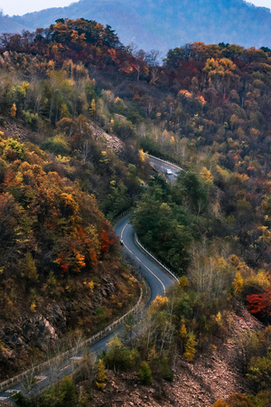 秋路弯弯-秋色-我要上封面-旅途-山 图片素材