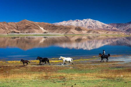蓝天-高原-风光-风景-秋色 图片素材