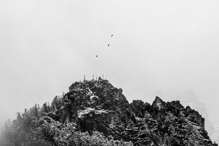 黑白风光-雪山-雄鹰-藏地风光-山 图片素材