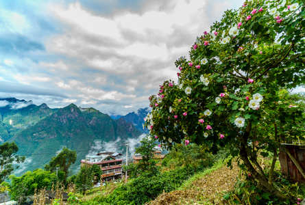 旅行-风光-彩色-教堂-山寨 图片素材