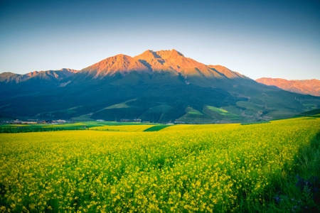 中国-青海-祁连县-祁连山-卓尔山风景区 图片素材